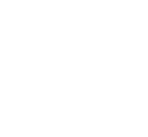 Logo da empresa Sentido Visual: Fundo verde esmeralda suave, ao centro as palavras SENTIDO (linha acima) e VISUAL (na linha de baixo) escritas em branco. Envolvendo as palavras estão dois traços finos semicirculares, também brancos, cruzados acima e dois traços semicirculares cruzados abaixo que simbolizam o formato do globo terrestre em movimento.